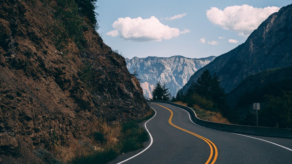 Дорога с лесом