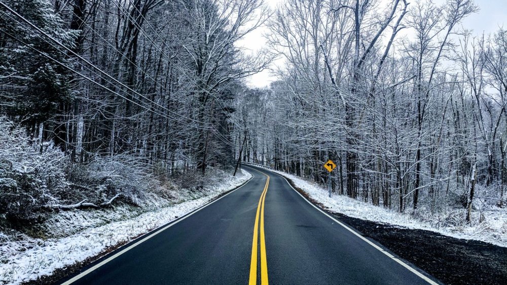 Лесные дороги