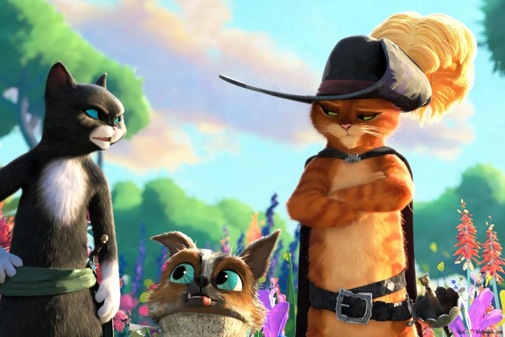 Кот в сапогах и киса мягколапка любовь