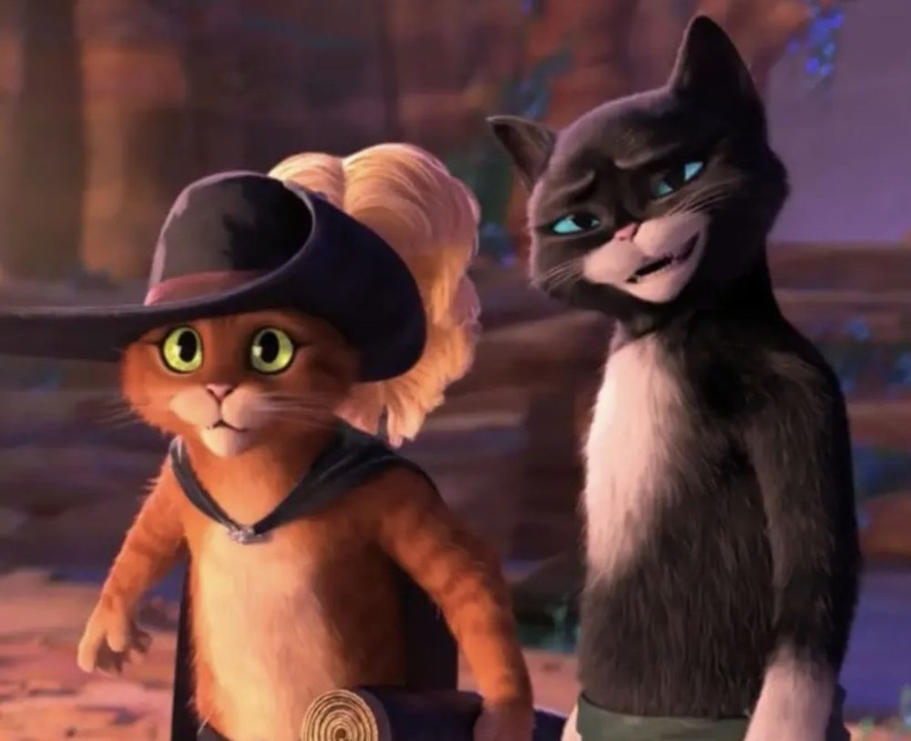 Кот в сапогах и мягколапка