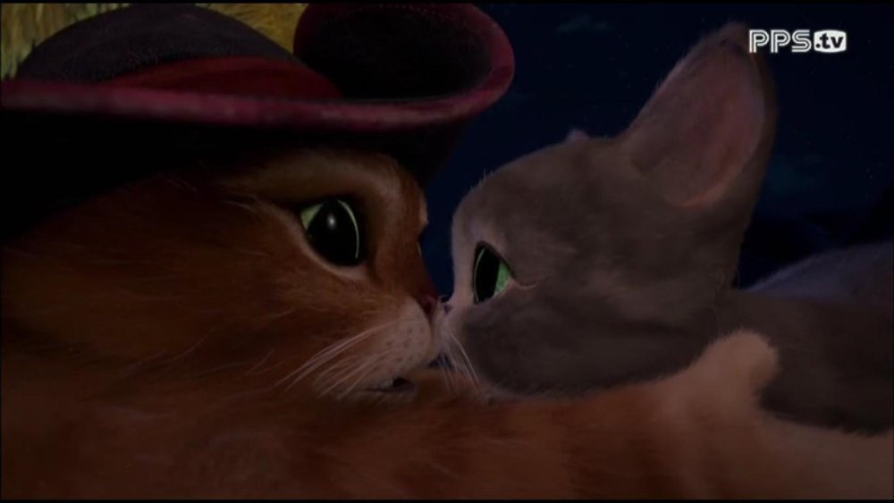 Кот и мягколапка