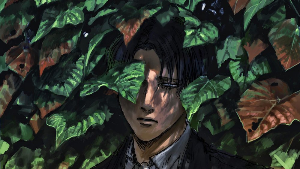 Леви Аккерман арт