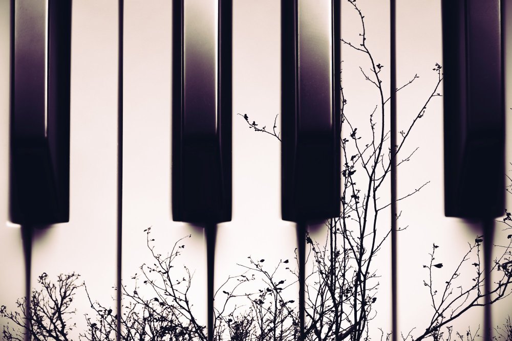 Клавиатура пиано