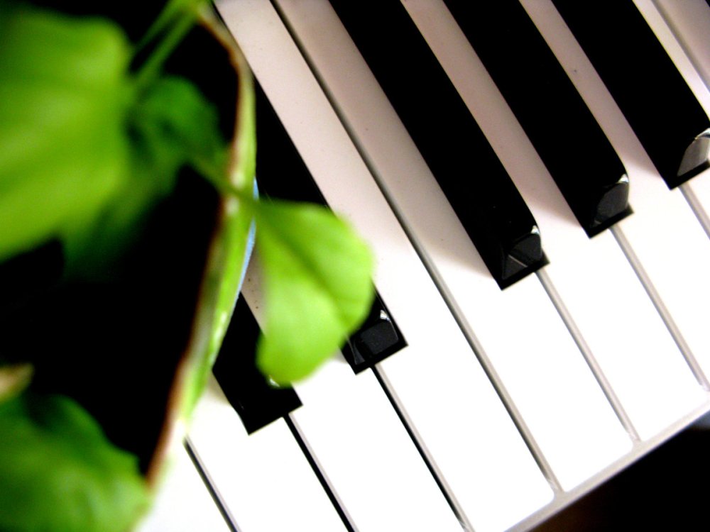 Клавиатура в виде пианино