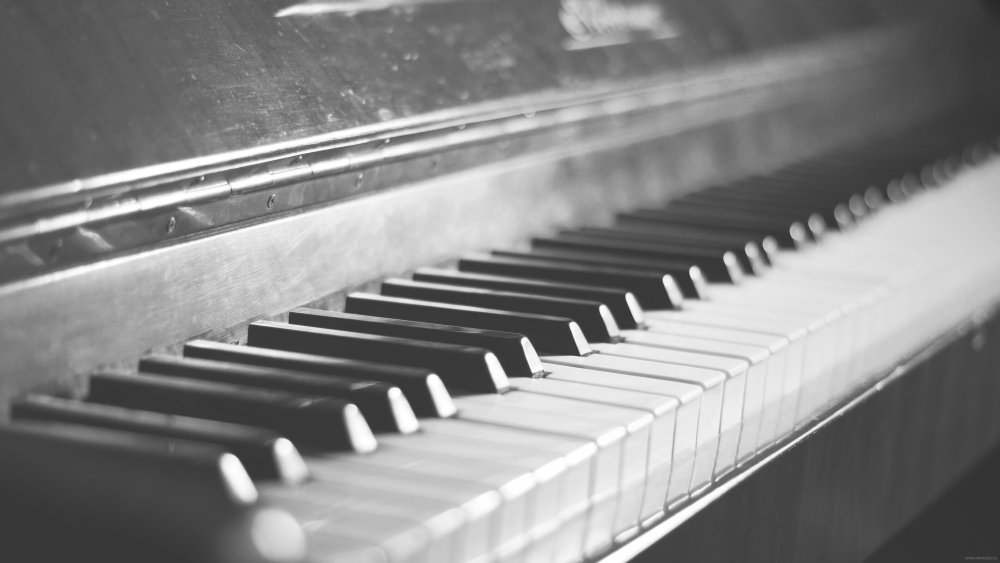 Arctic Monkeys am обложка