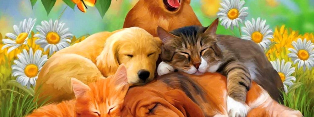 Домашние животные