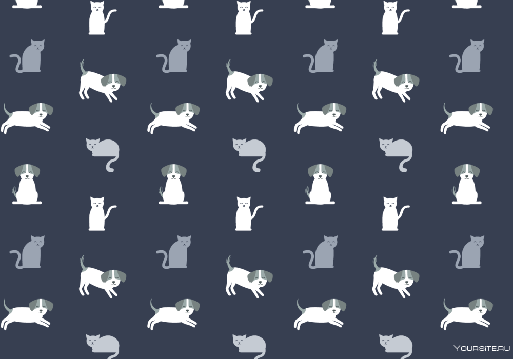 Кошка и собака на темном фоне