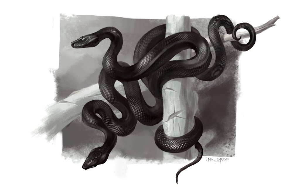 Змеи переплелись