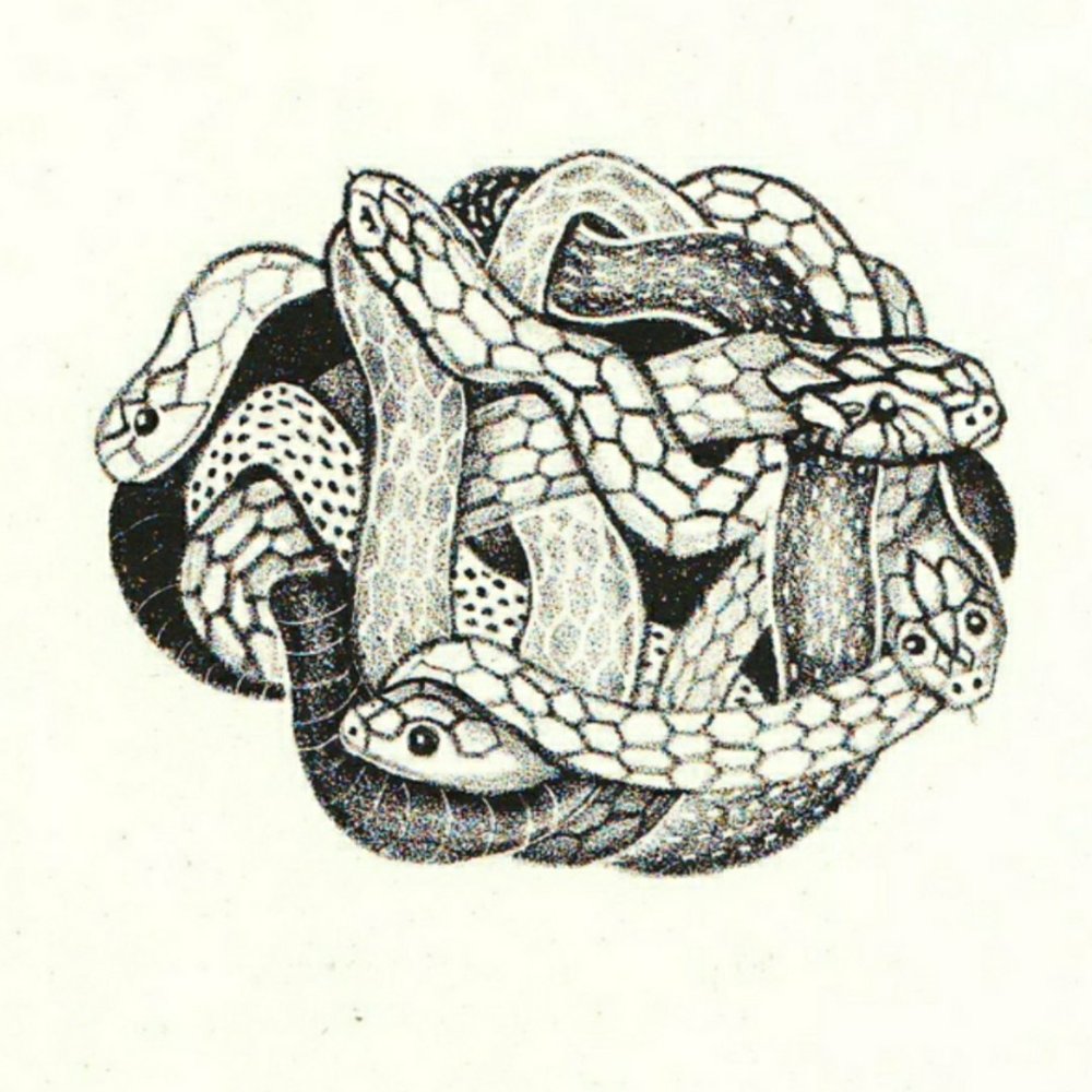 Змеиное кубло