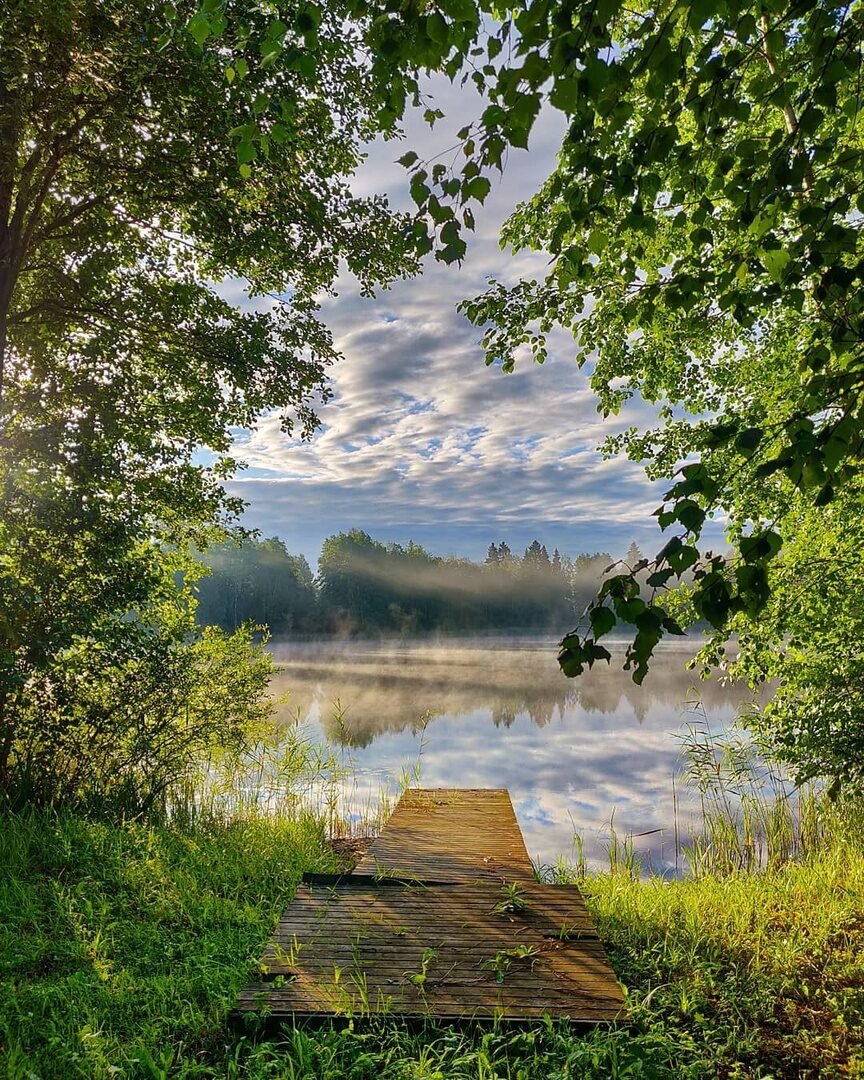 Летний пейзаж