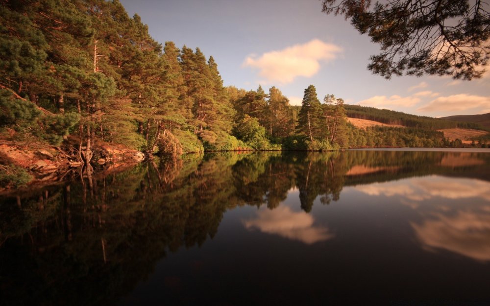 Природа лес озеро