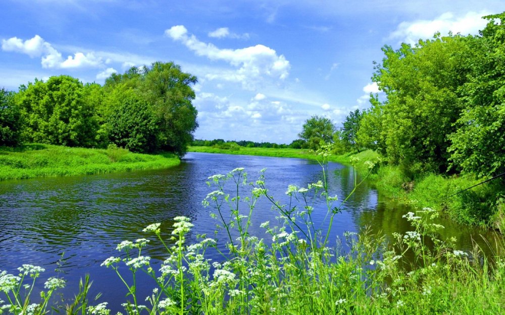 Летом у реки