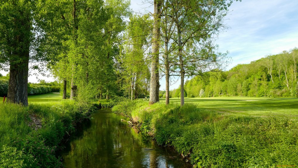 Природа России лето