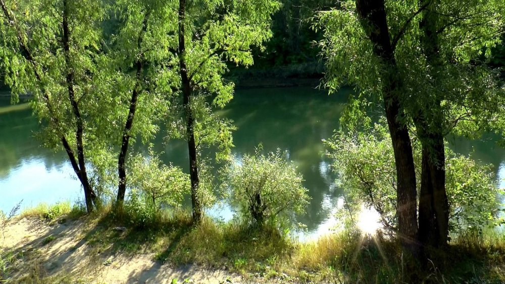 Лето река солнце