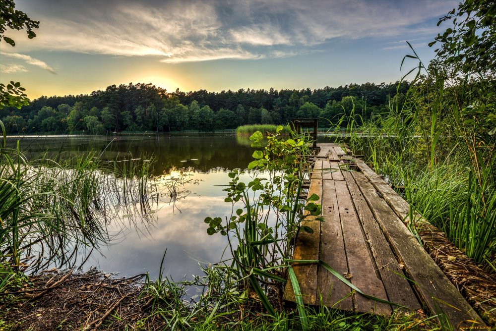 Васкелово озеро мостки