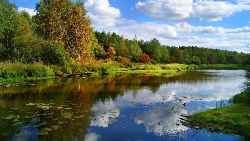 Река Локша Ивановская область