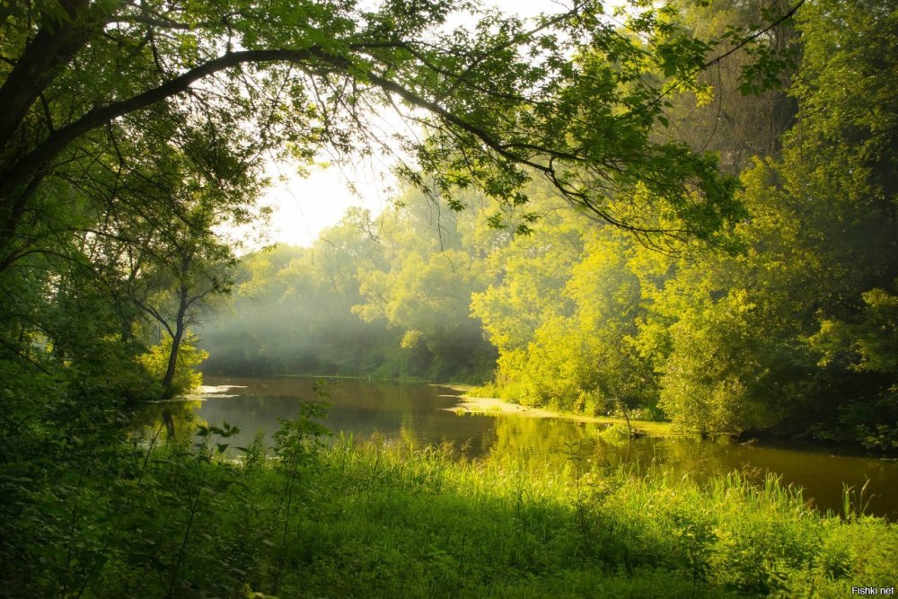 Фотопейзажи Курской области