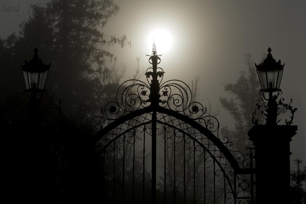 Полночный сад