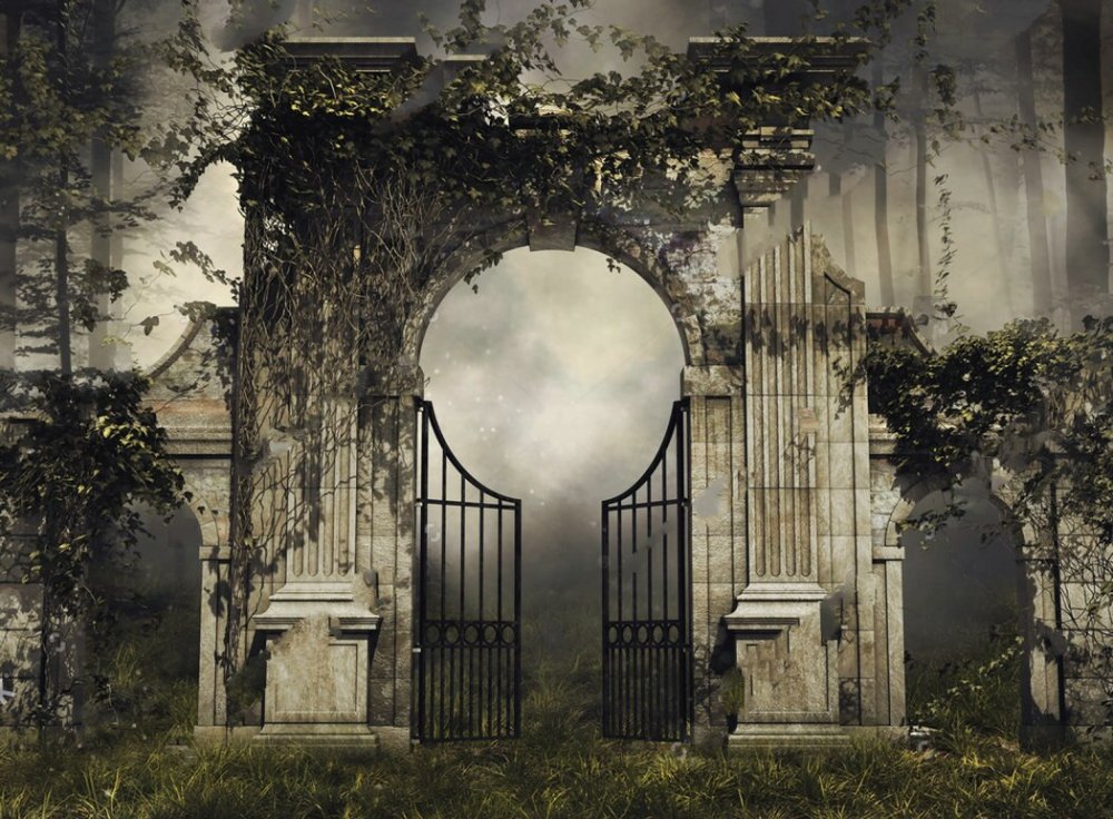 Мрачные ворота в лесу