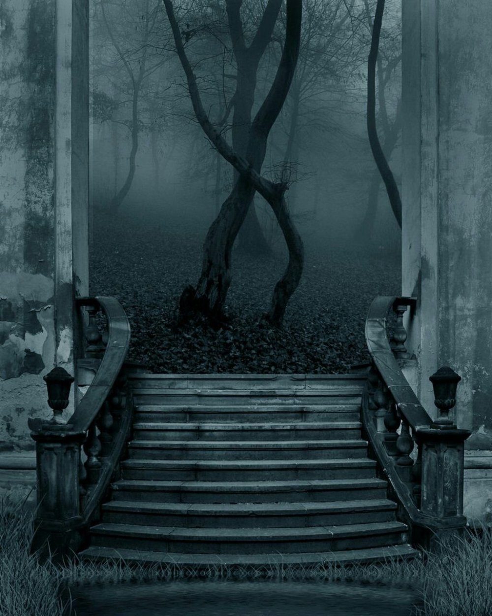 Готический лес