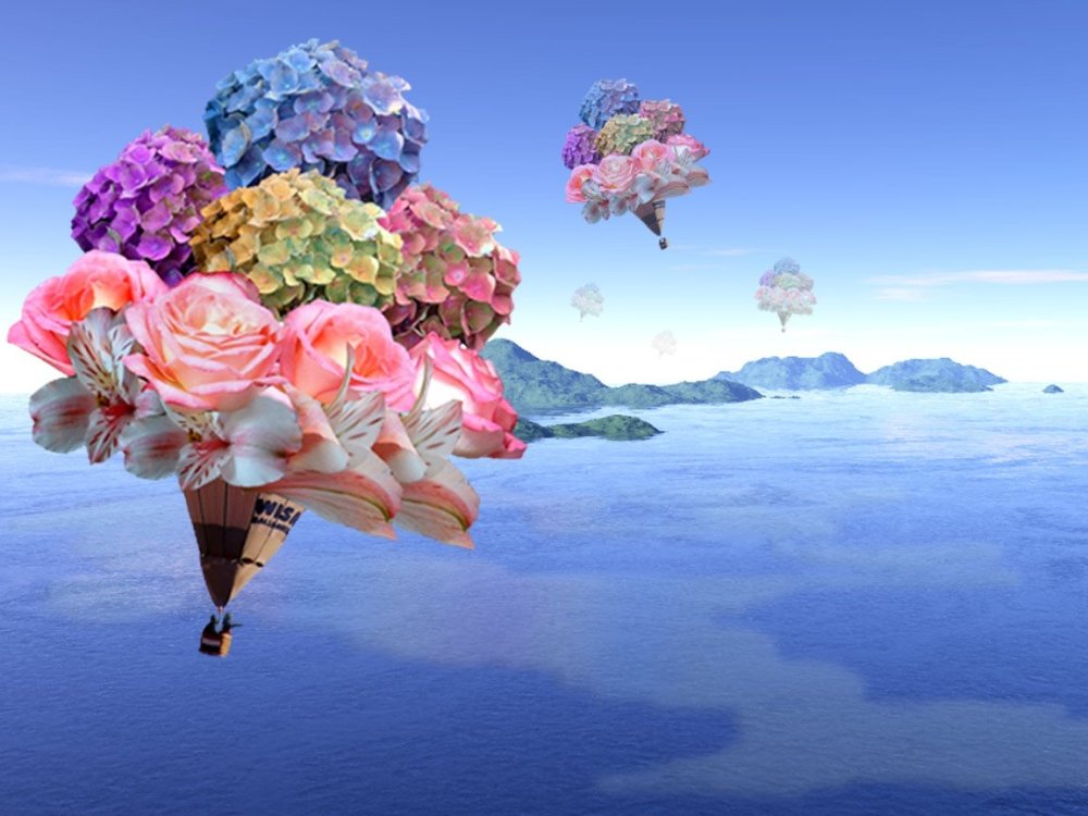 Цветы море солнце