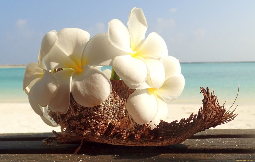 Свадебный букет на пляже