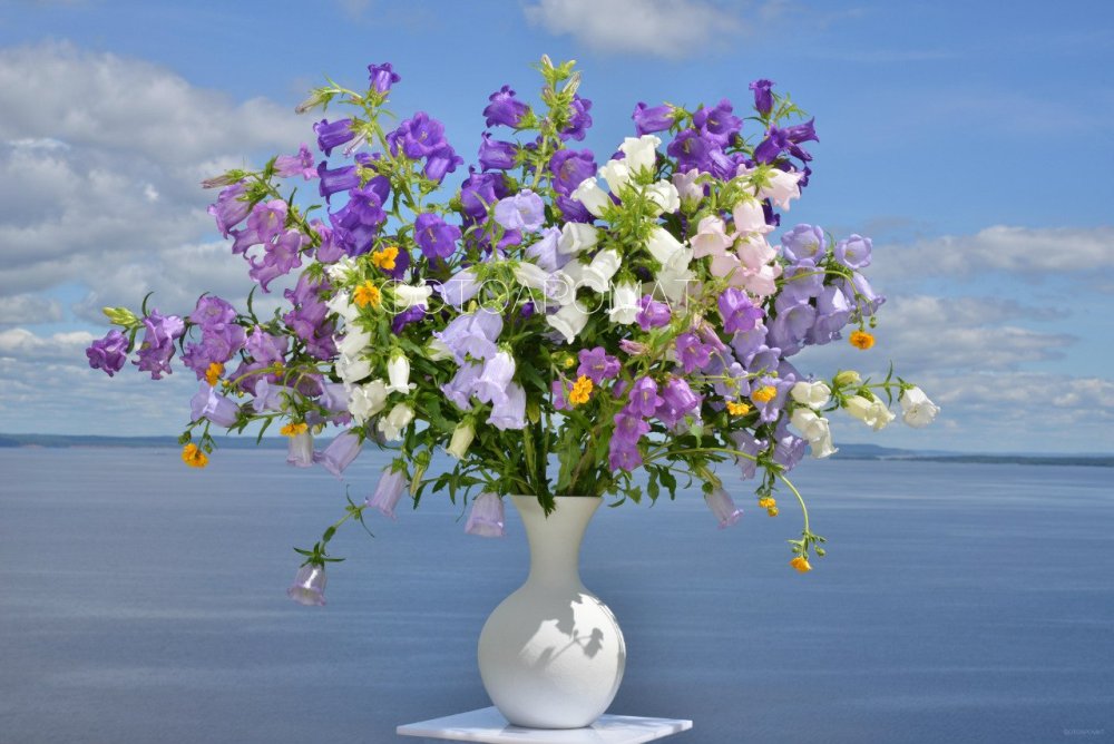 Пейзаж Эстетика