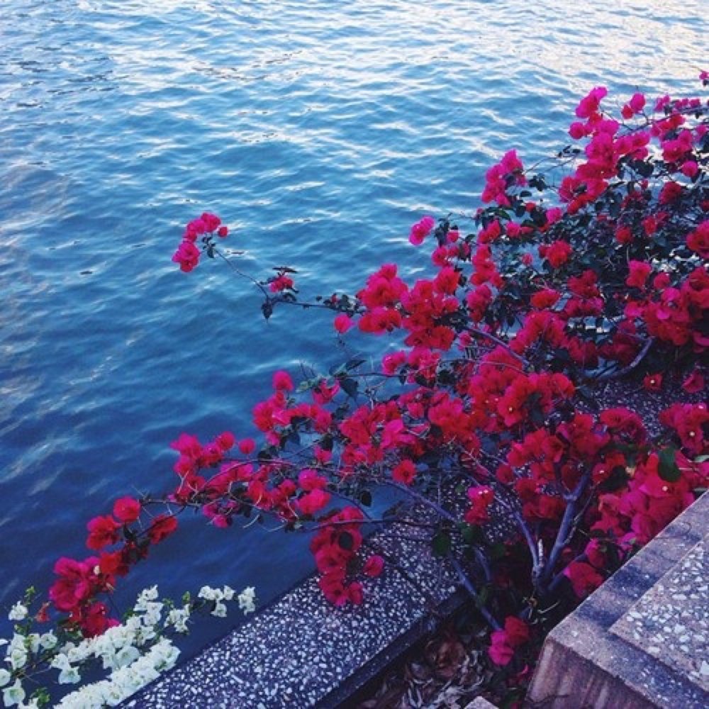 Яркие стильные букеты на фоне моря