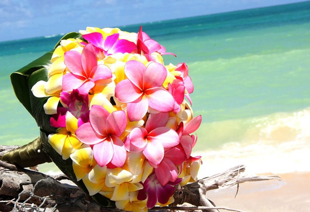 Весенний рассвет