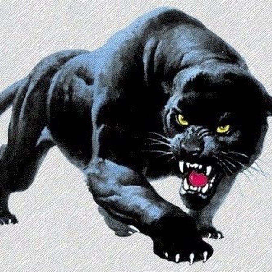 Черная пантера