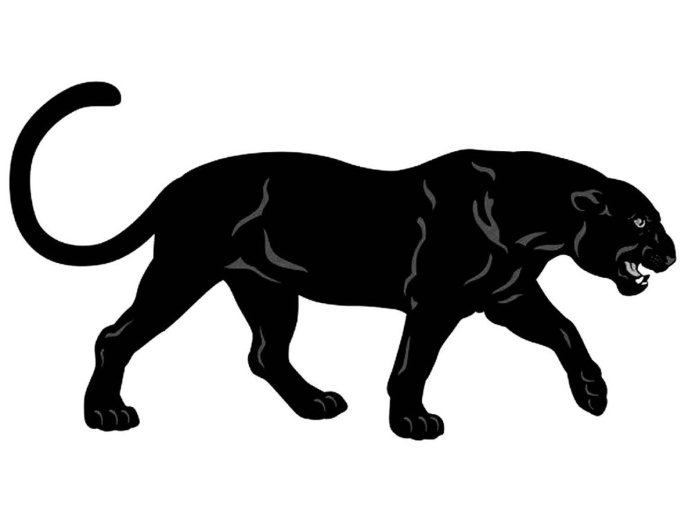 Пантера крадется вид сбоку