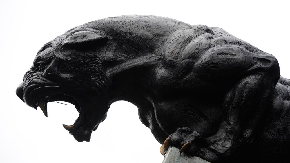 Пантера с зелеными глазами