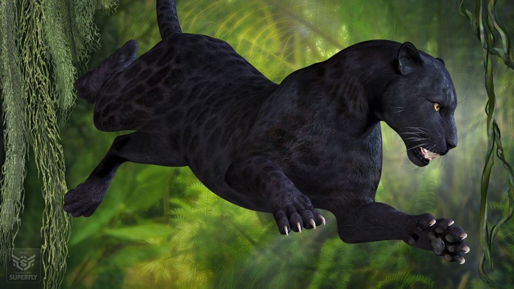 Пантера сбоку вектор