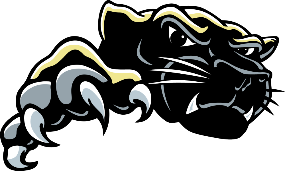 Контур пантеры и тигра