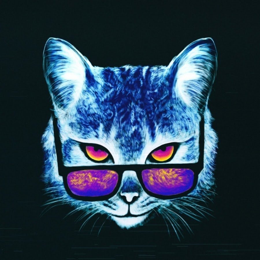 Кот в очках
