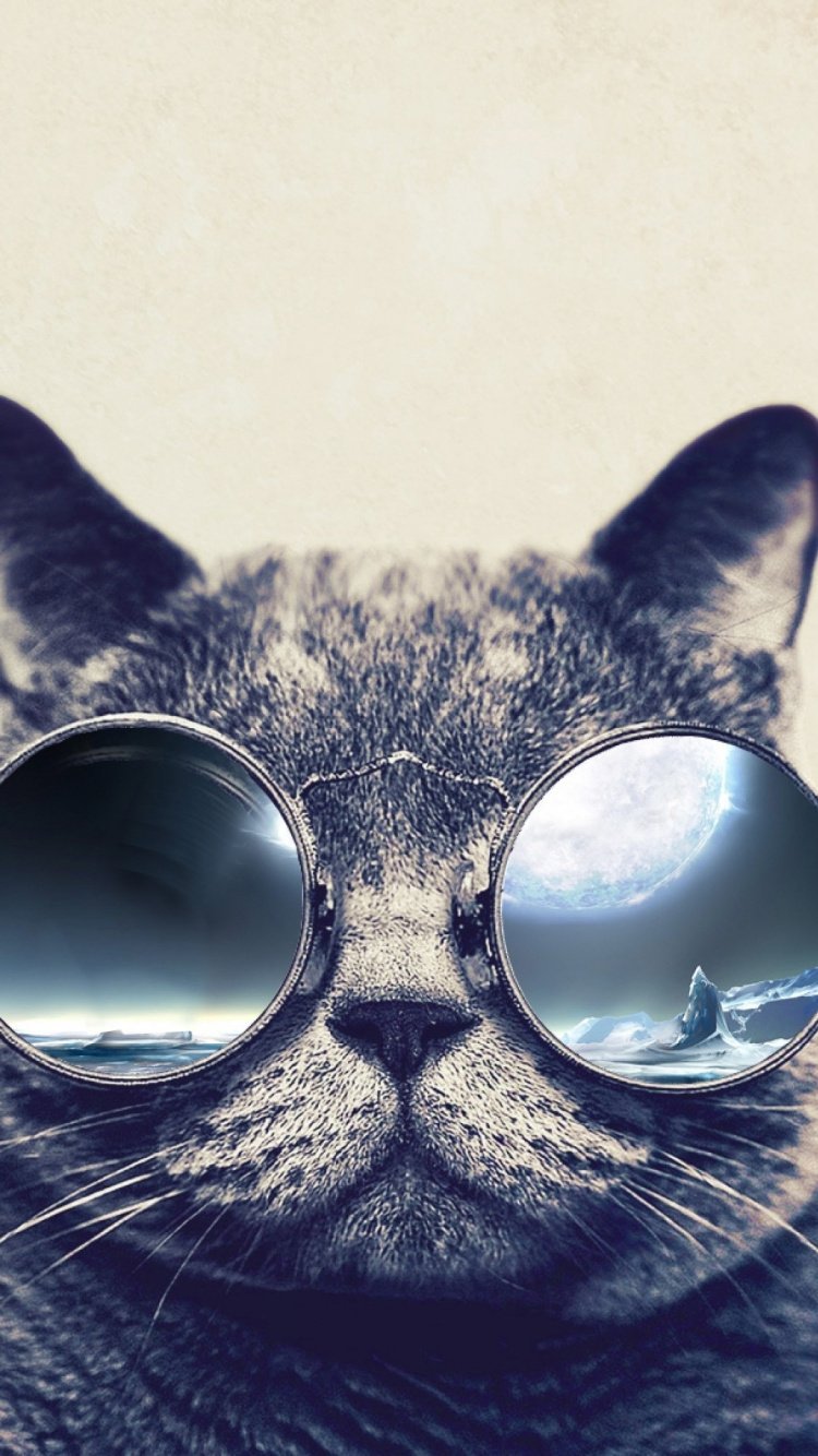 Алмазная мозайка на подрамнике 40х50 животные космический кот