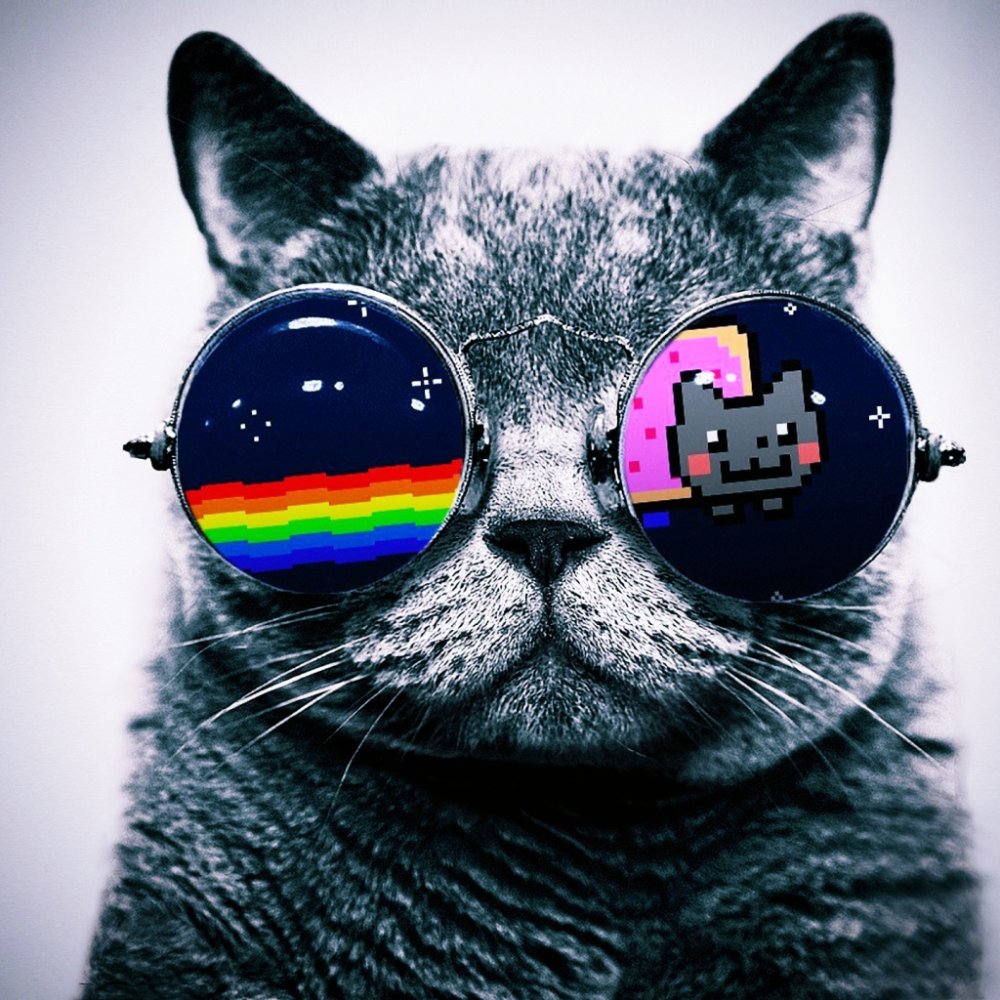 Тимон на аву