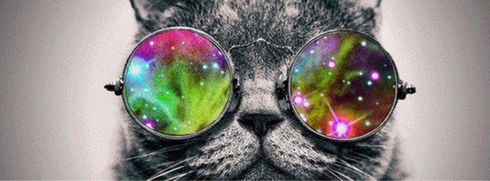 Котик в космических очках