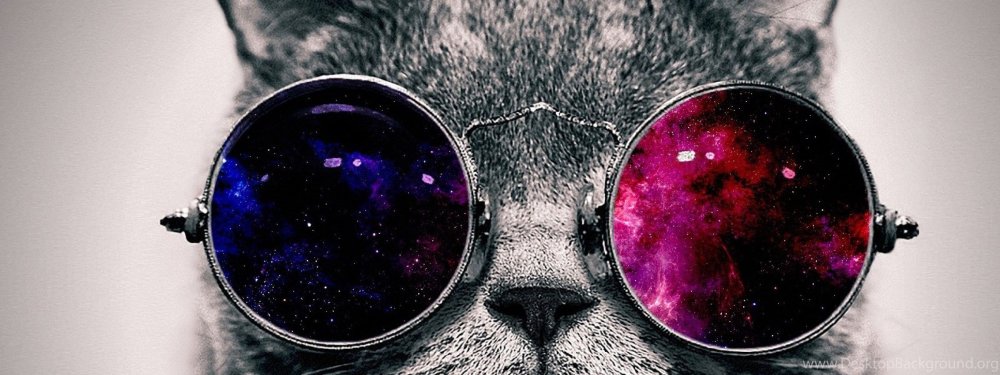 Кот в очках космос