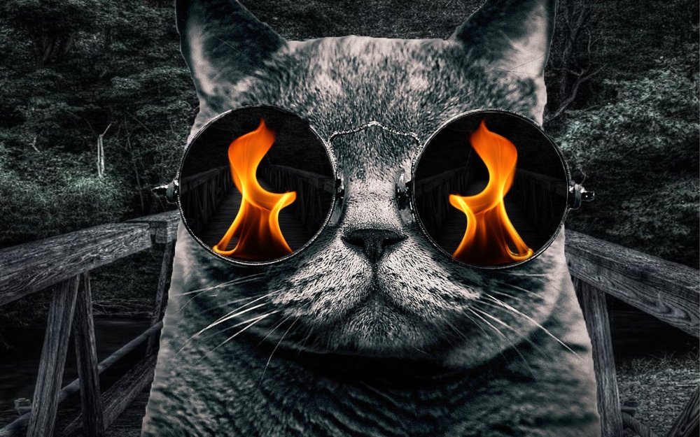 Крутые котята