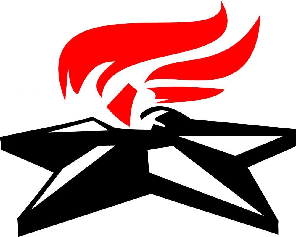 Гвоздики с георгиевской лентой