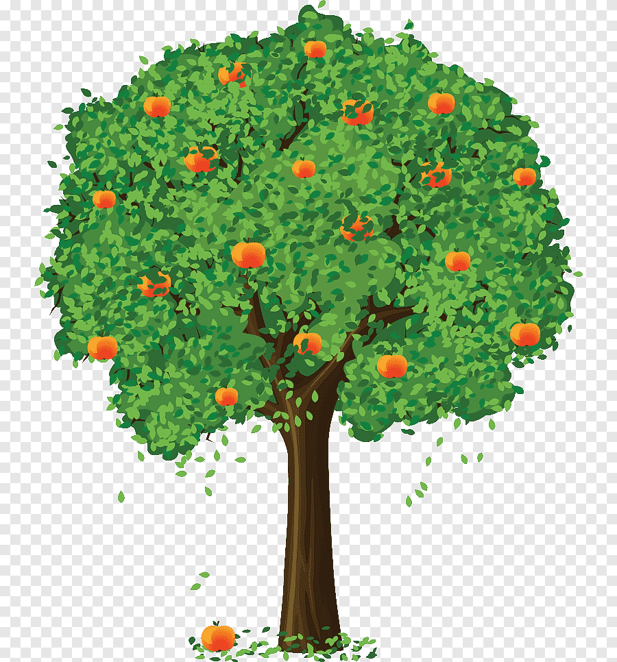 Летнее дерево