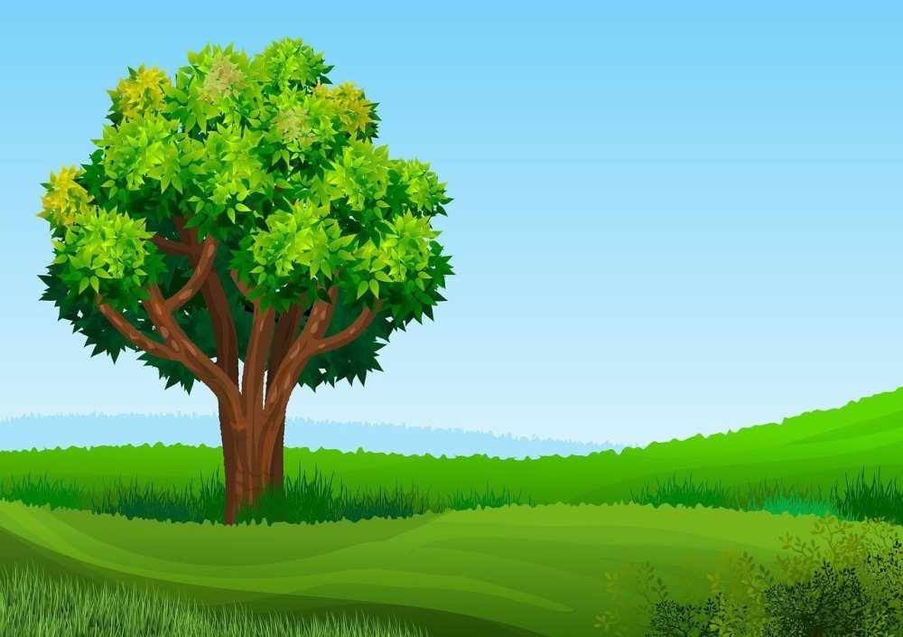 Мультяшные деревья
