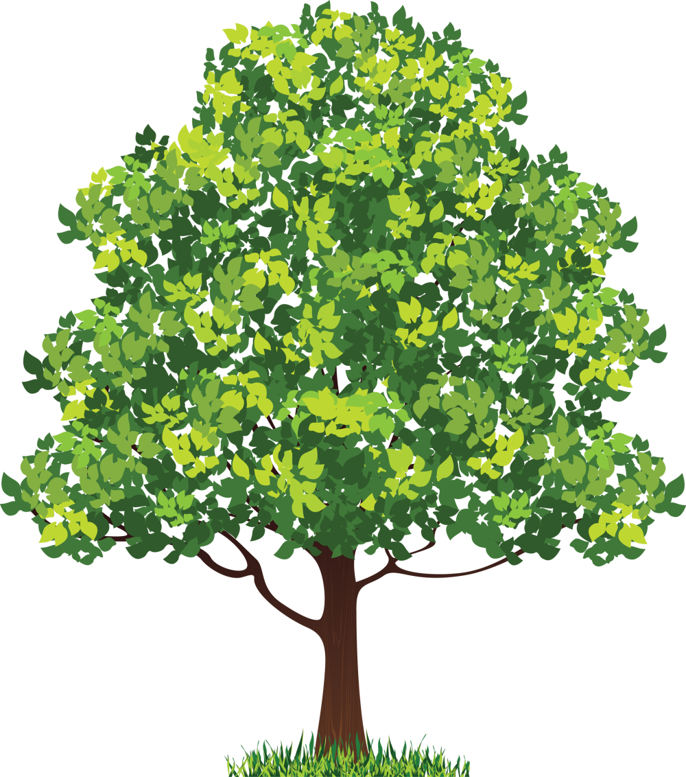 Листья деревьев