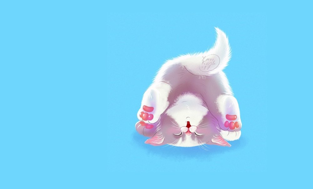 Розовый котик