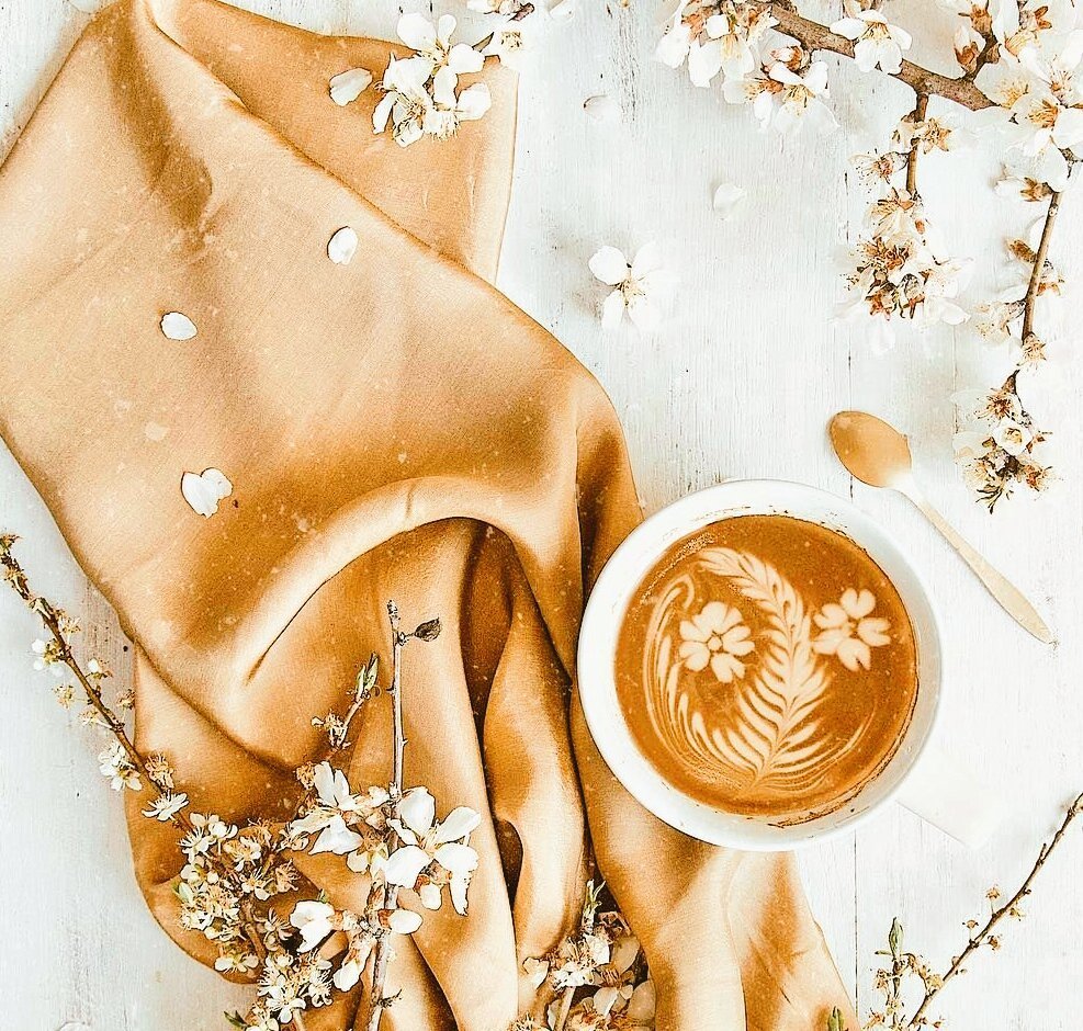 Бежевый цвет фон однотонный