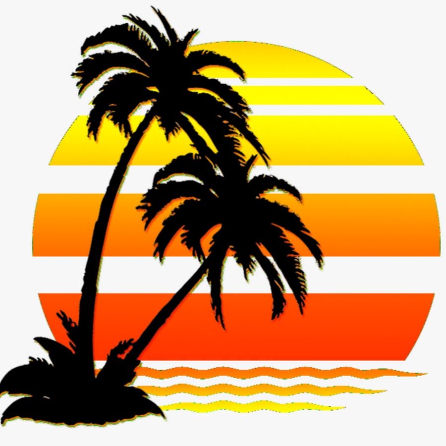 Пальма вид сверху