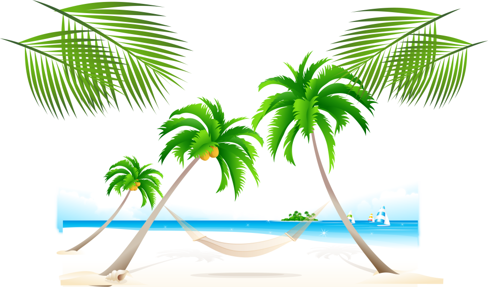 Пальма на прозрачном фоне