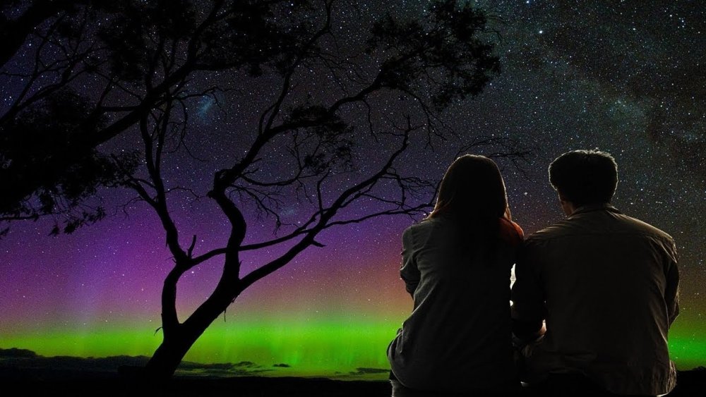 Лунная ночь любовь