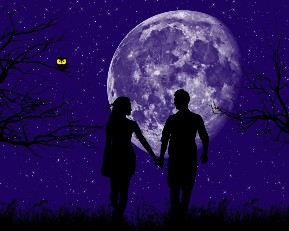 Прогулка под луной